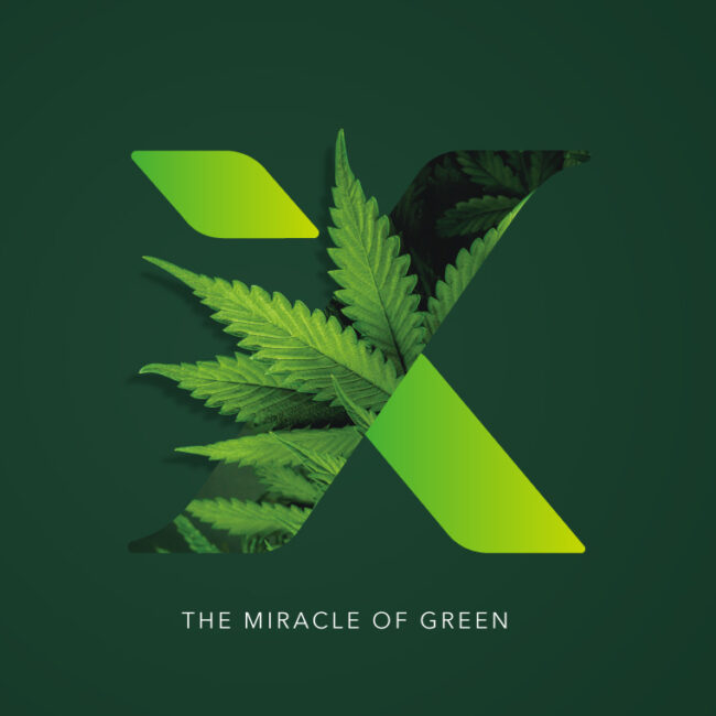 Luxin Hemp Group – Endless Innovation