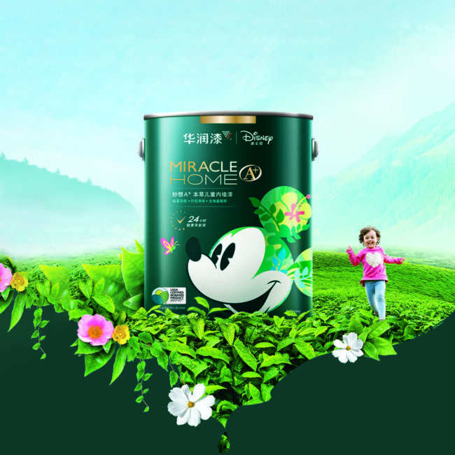 Huarun Paints – Packaging System Strategy
